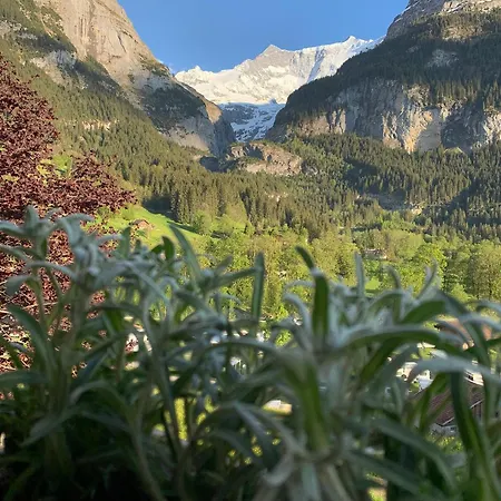 Velvet Eiger شقة جريندلوالد