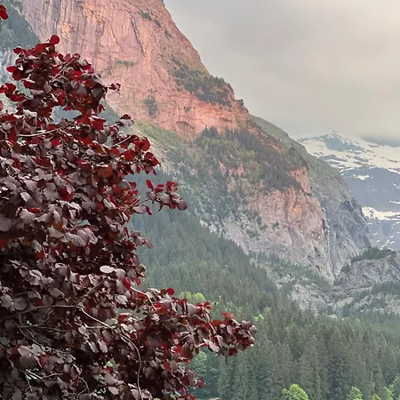 شقة Velvet Eiger جريندلوالد
