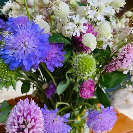 Velvet Eiger Apartment