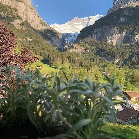 Velvet Eiger 公寓 格林德瓦