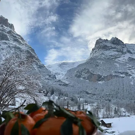 公寓 Velvet Eiger