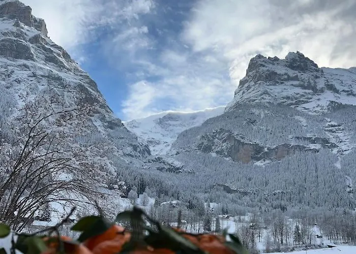 Apartment Velvet Eiger