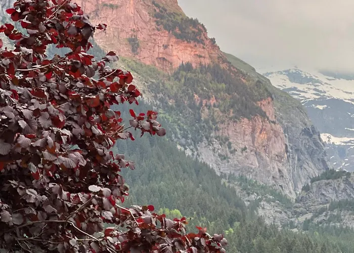 아파트 Velvet Eiger 그린델발트