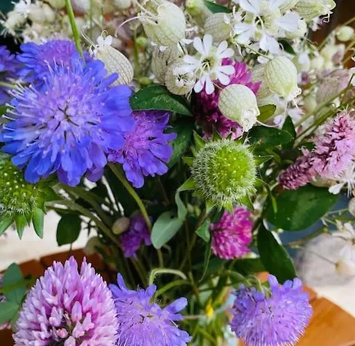 Velvet Eiger 아파트